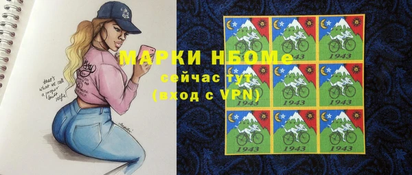 дмт Алзамай