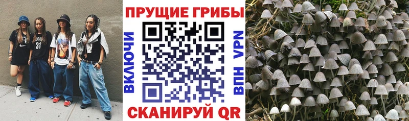 Псилоцибиновые грибы мицелий  MEGA зеркало  Старая Купавна 